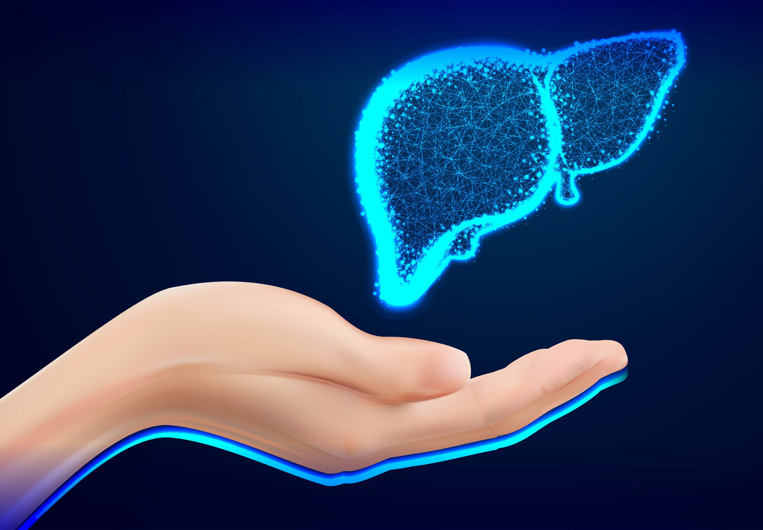 Liver Repair with TUDCA: Recommended Dosage & Benefits