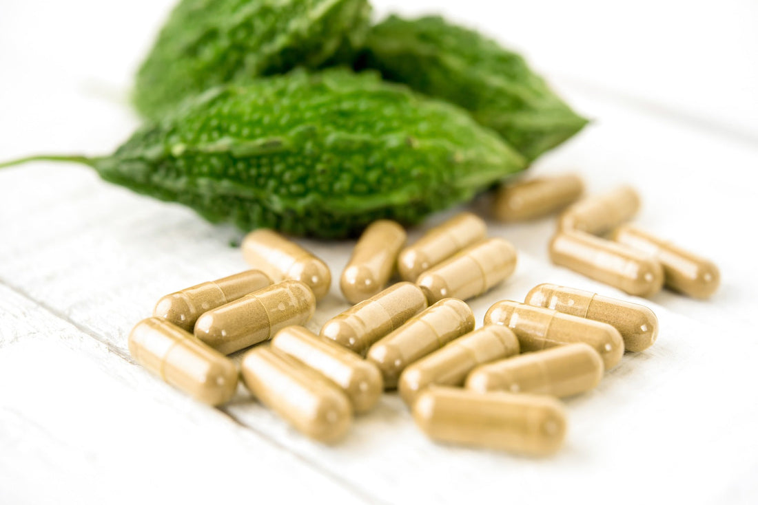 Bitter Melon Reimagined: From Traditional Remedy to Modern Metabolic Support