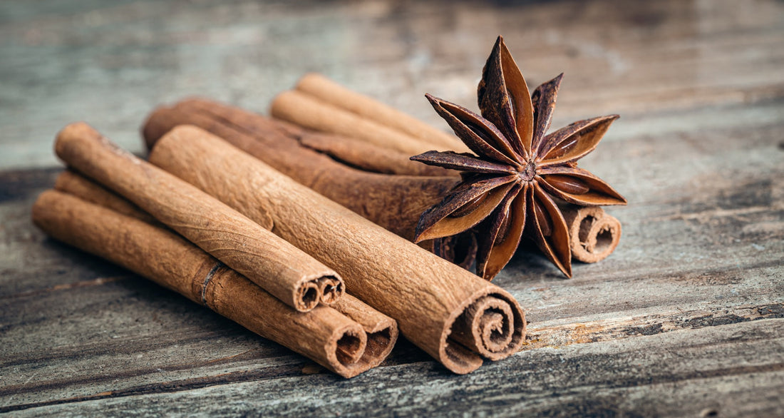 Why Ceylon Cinnamon Belongs in Your Daily Wellness Routine