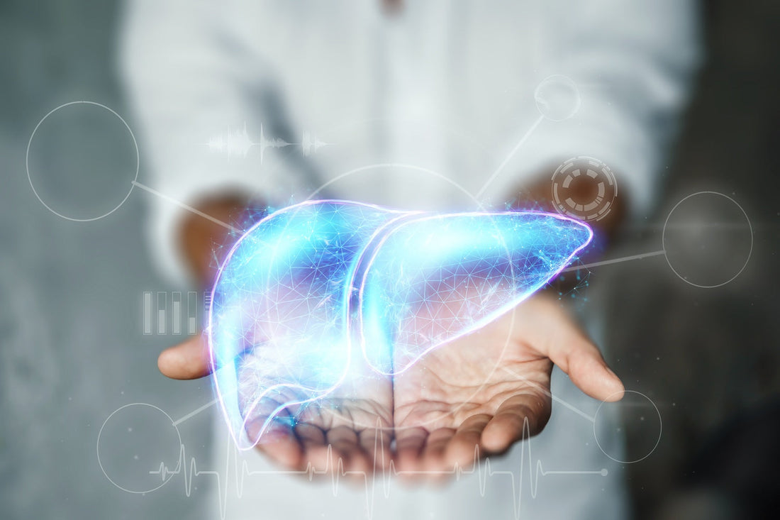 Herbal Power for Your Liver: Discover the Benefits of Milk Thistle