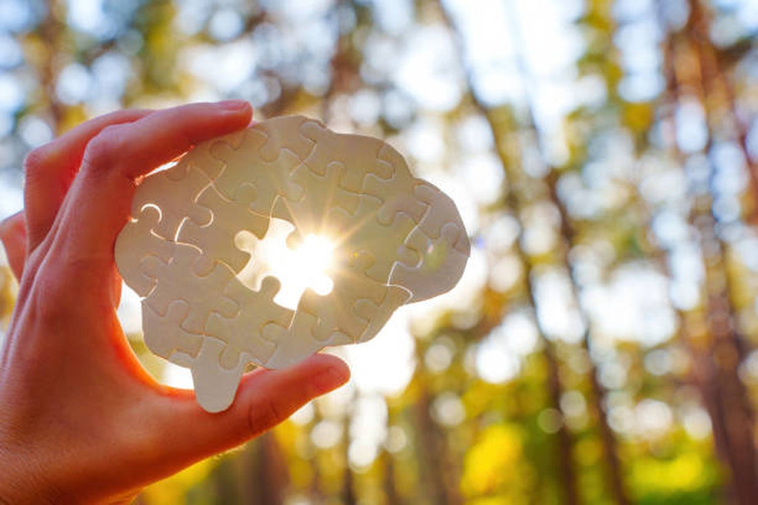 How Can Targeted Daily Nutrition Support Focus, Mental Clarity, and Emotional Balance?