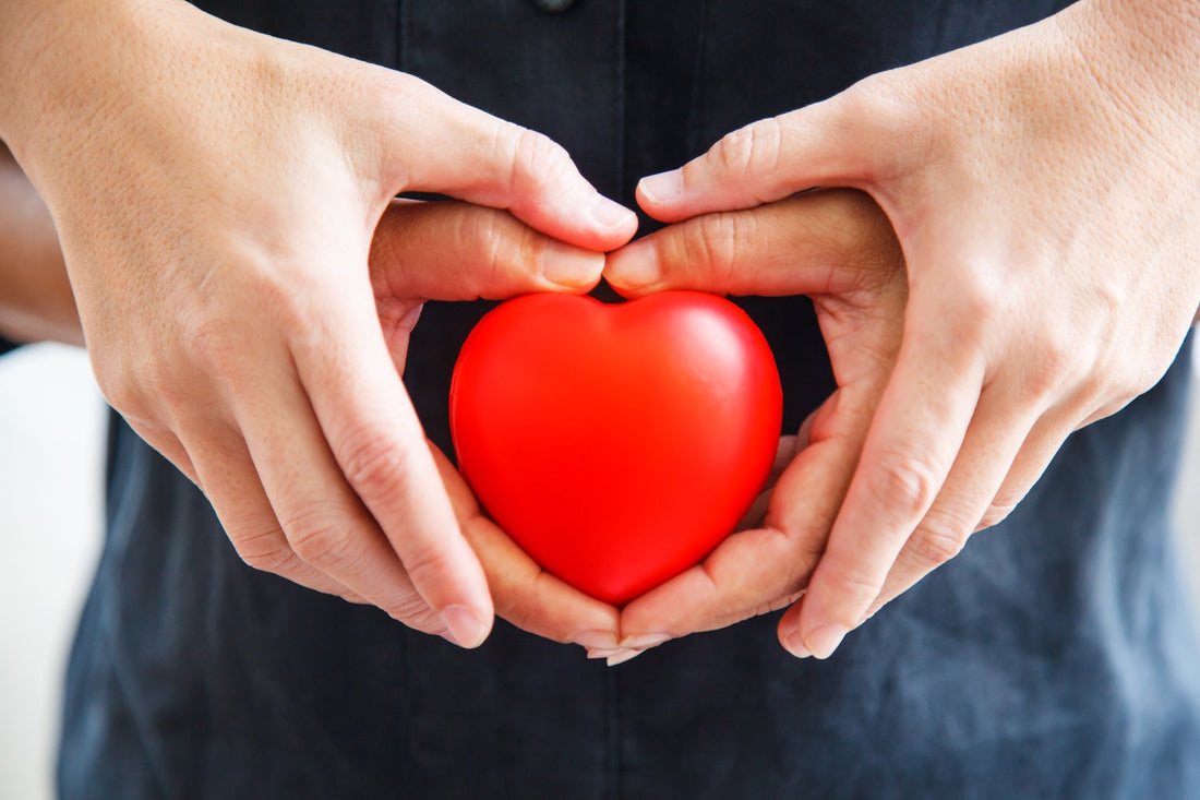 How Does Cinnamon Help Lower LDL Cholesterol and Improve Cardiovascular Health?