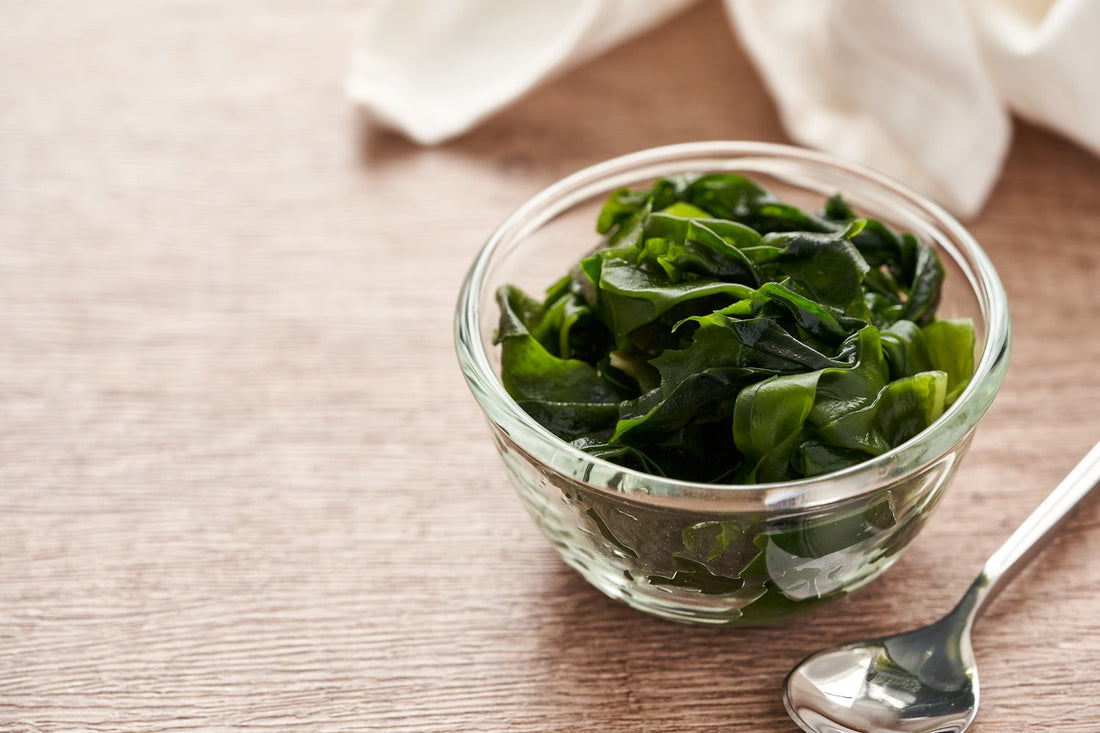 The Top 7 Health Benefits of Sea Moss: How This Seaweed Can Transform Your Well-Being