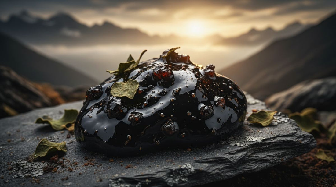 Himalayan Shilajit Capsules for Energy, Hormone Balance & Vitality — What Science & Tradition Say