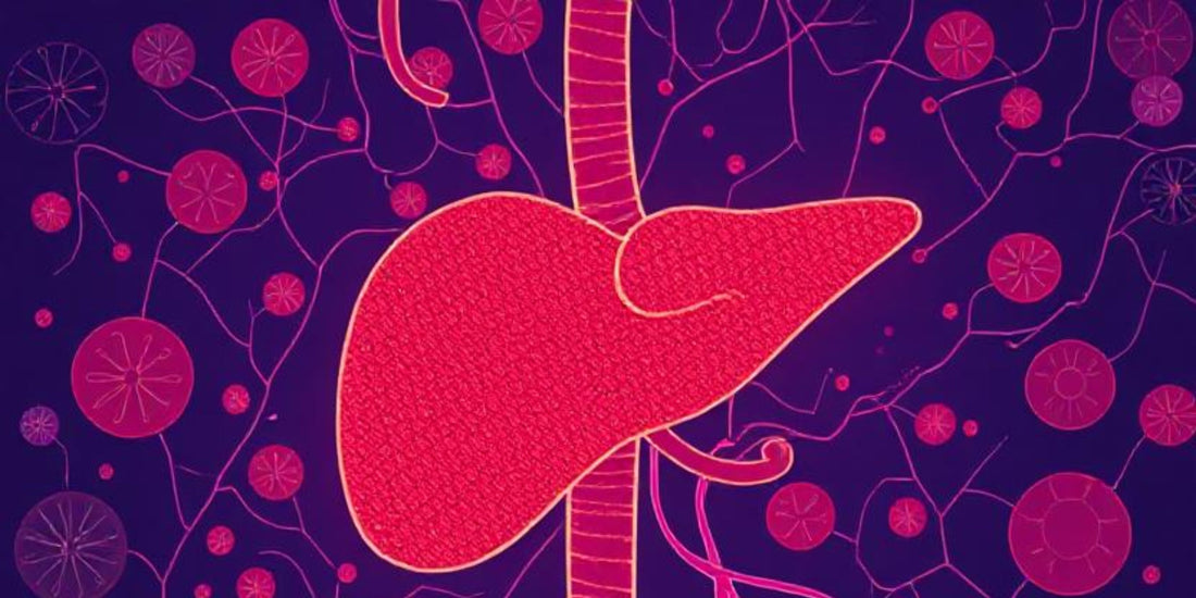 Natural Supplements to Support Kidney & Liver Function: Safety Tips, and Lifestyle Essentials