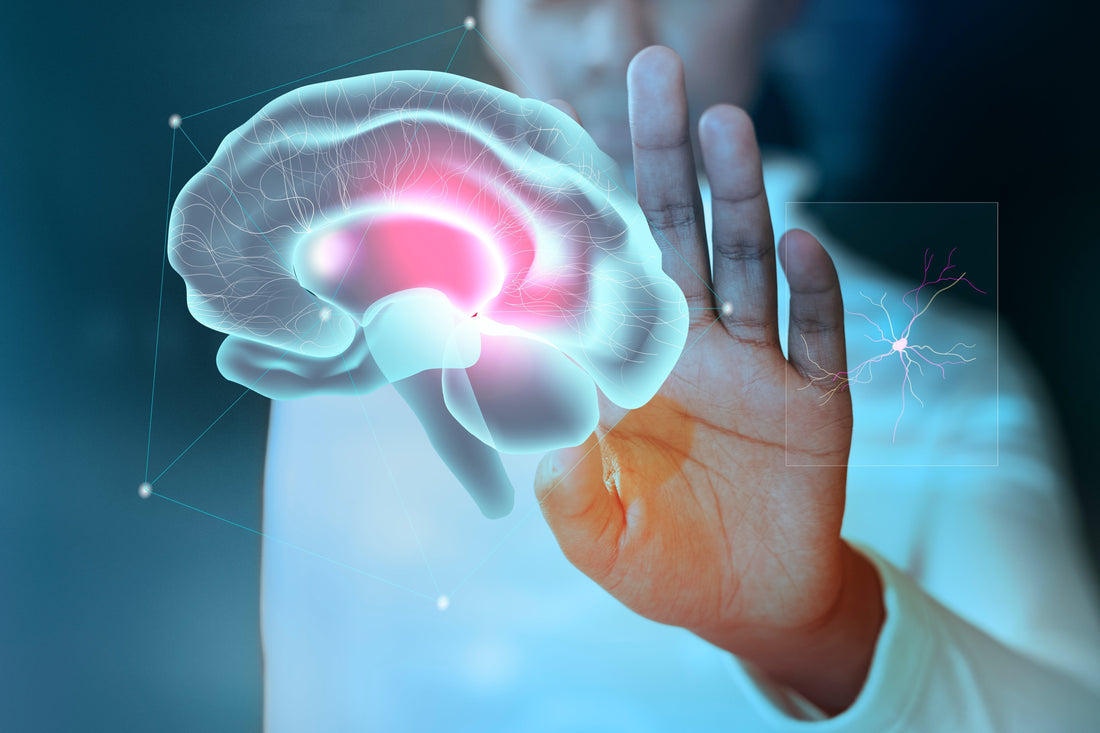 Unlock Your Memory: Top Brain Boosting Supplements & Daily Habits Revealed