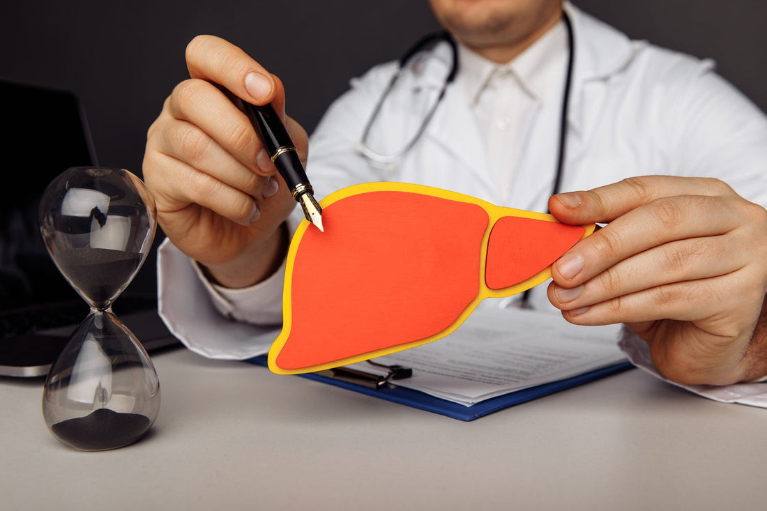 Can Adding TUDCA to Your Routine Improve Liver Performance and Boost Immune System Naturally?