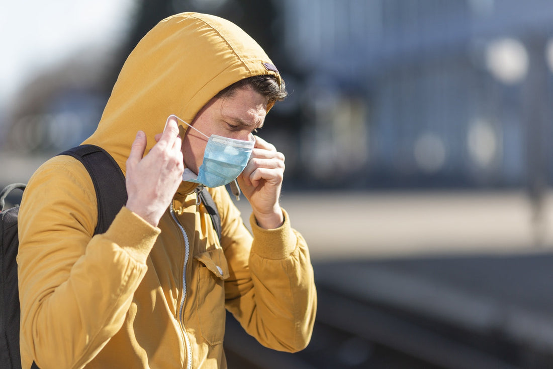 Clean Air, Clean Body: How Mullein Helps Neutralize Daily Pollutant Exposure