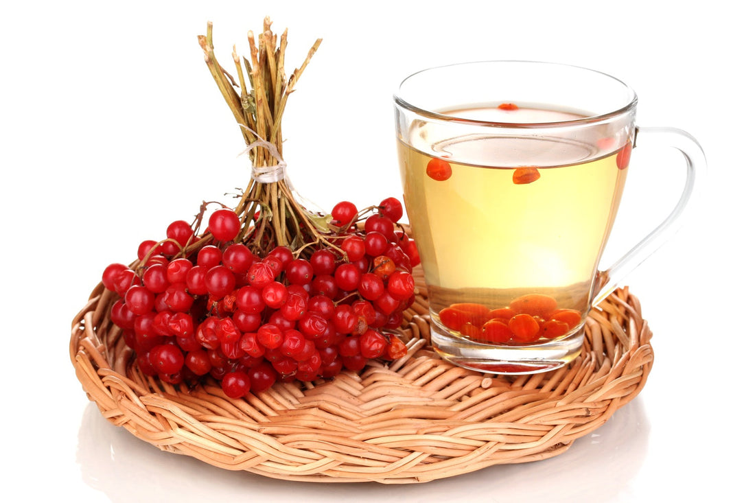 Can Regular Hawthorn Berry Intake Improve Your Cardiovascular Health and Energy Levels?