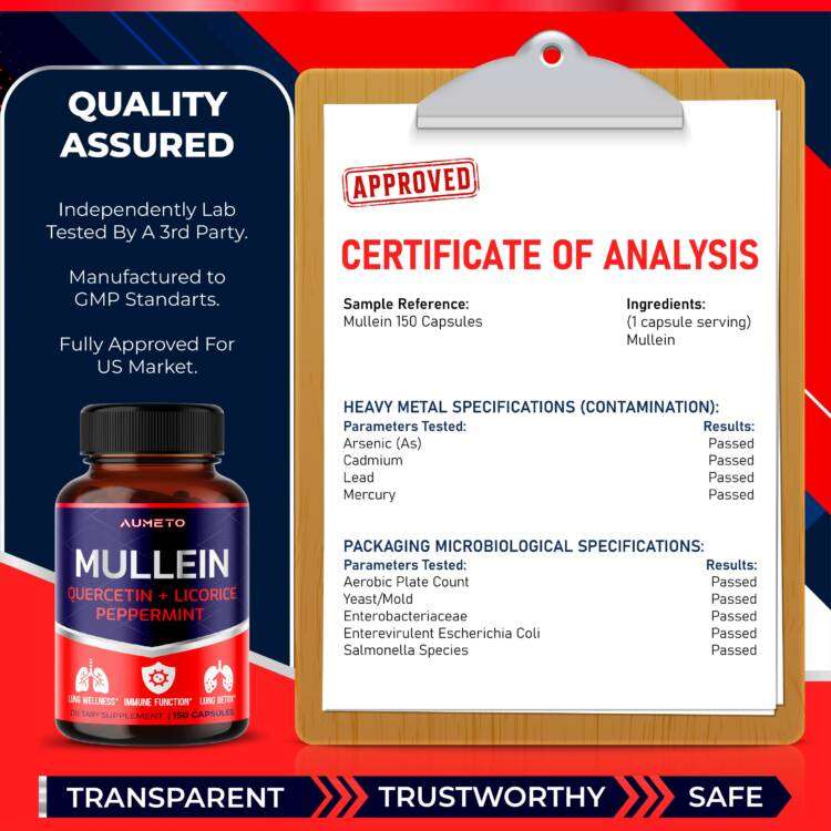 Mullein Supplement with Quercetin