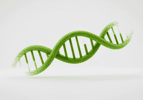 Pioneers in the science of plant-based healing